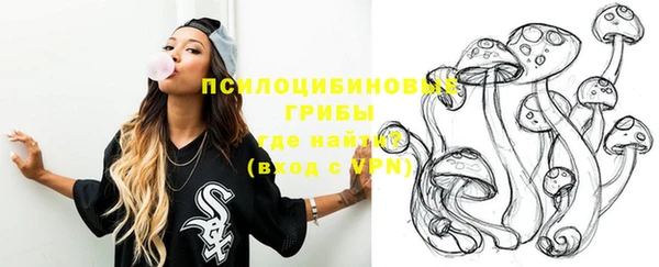 MDMA Краснослободск