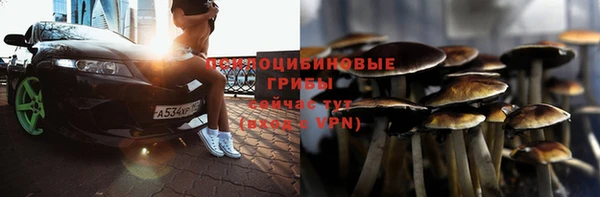 MDMA Краснослободск