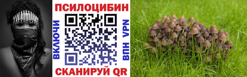 Купить  Балаково  Галлюциногенные грибы MAGIC MUSHROOMS 